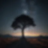 Silhouette of a lone tree against a starry sky