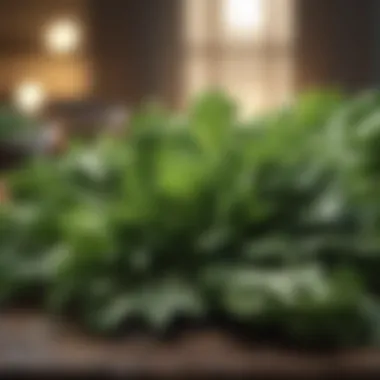 Vibrant Leafy Greens Vibrant green leafy greens for gut healing