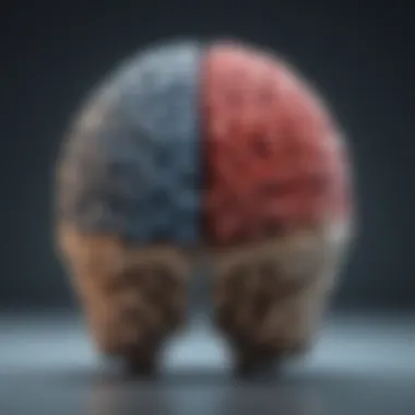 Analytical Precision of the Left Brain Conceptual artwork depicting left brain functions
