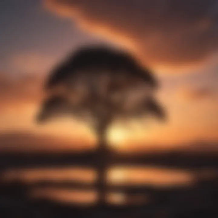 Silhouette of a lone tree against a vibrant sunset sky