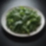 Green leafy vegetables on plate