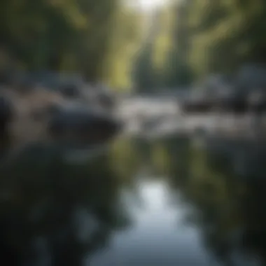 Calm Waters Reflecting Inner Peace Calm Waters Reflecting Inner Peace