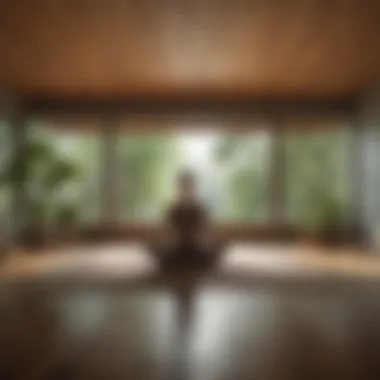 Meditation Space for Emotional Balance A peaceful meditation space enhancing emotional well-being