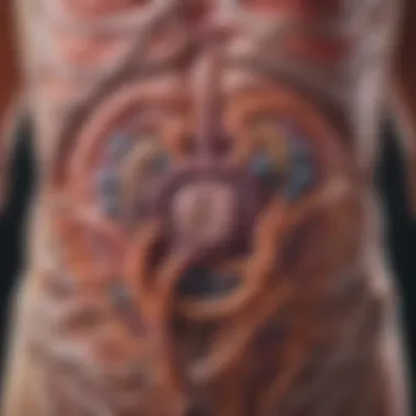 Visualizing Optimal Gut Microbiome Health Gut Microbiome Health Visualization