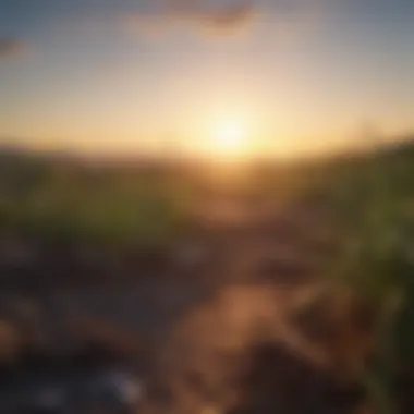 A serene sunrise over a calm landscape symbolizing new beginnings