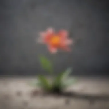 A blossoming flower breaking through concrete