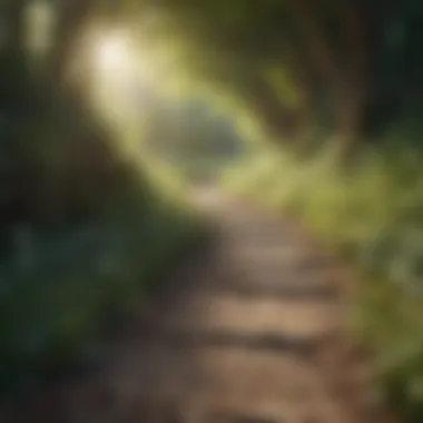Pathway to Renewal Pathway to Renewal
