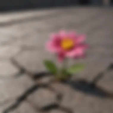 Blooming Through Recovery A vibrant flower growing from cracks in concrete, symbolizing recovery