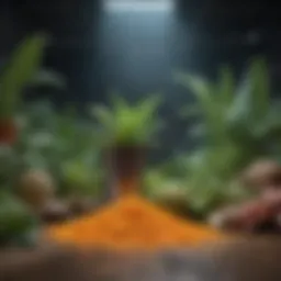 Nutrient-Rich Plant Foods for Gut Health