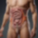 Illustration of gut health impact on overall well-being