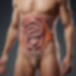 Illustration of gut health impact on overall well-being