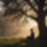 Silhouette of a person meditating under a tree