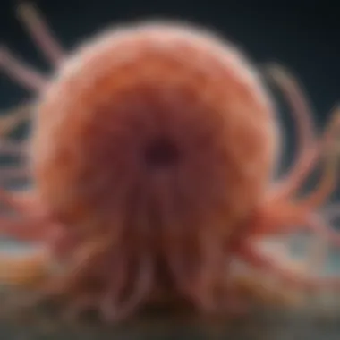 Microscopic Insight into Parasite Elimination A microscopic view of parasite elimination process