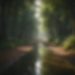 Path of Reflection