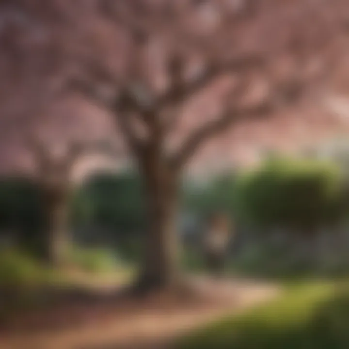 Illustration symbolizing growth and development through a blooming tree