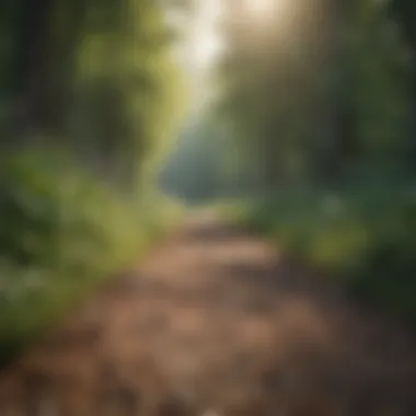 Symbolizing Personal Growth A serene landscape symbolizing personal growth