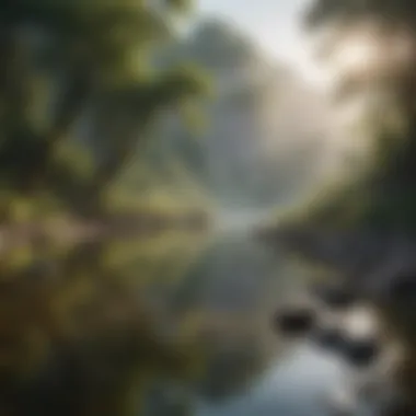 Serenity in Nature A serene landscape depicting tranquility and positivity