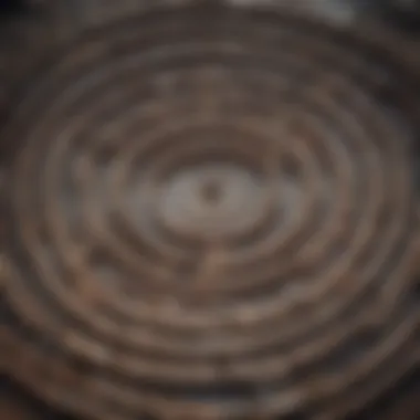 Artistic representation of a labyrinth with intricate patterns