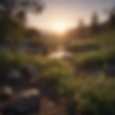 New Beginnings: The Dawn of Understanding A serene landscape at dawn symbolizing new beginnings