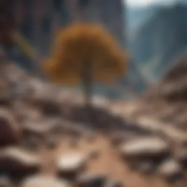 A vibrant tree growing amidst rocky terrain, illustrating resilience