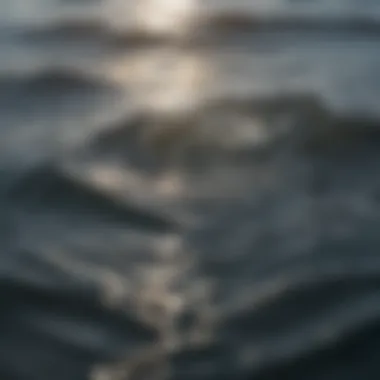 Creating Waves of Change Ripples spreading across calm water surface with a rock thrown in