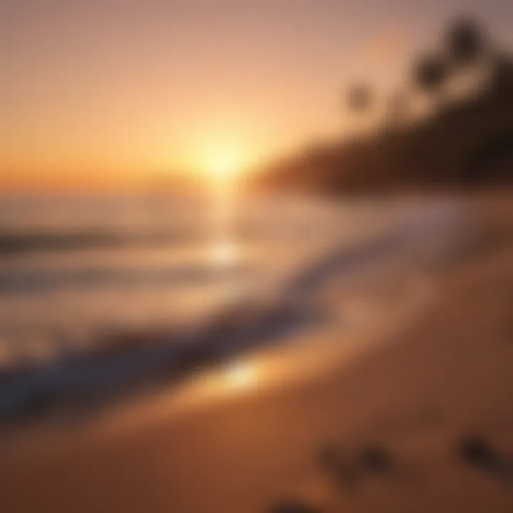 Landscape of a serene beach at sunset