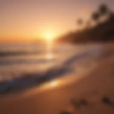 Golden Hour Serenity Landscape of a serene beach at sunset