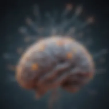 Neurotransmitter Pathways in the Brain Brain neurotransmitter illustration