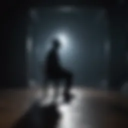Silhouette of a lone figure contemplating existence