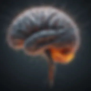 Neuroscience of Habit Formation Illustration of the brain with neural connections
