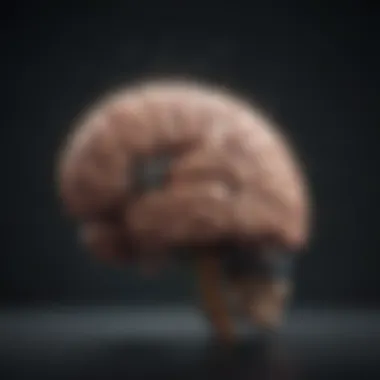 Transforming Your Mindset A brain illustration highlighting mindset transformation