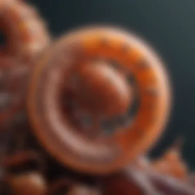 Understanding the Life Cycle of Parasites Infographic on the life cycle of common parasites