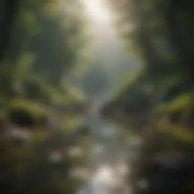 Mindfulness in Nature A serene landscape representing mindfulness and tranquility.