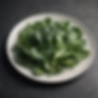 Green leafy vegetables on plate