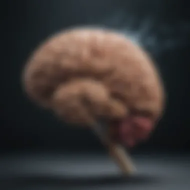 Brain's Response to Nicotine A diagram showcasing the brain's response to nicotine
