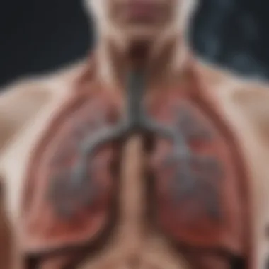 An illustration of the lungs affected by smoking