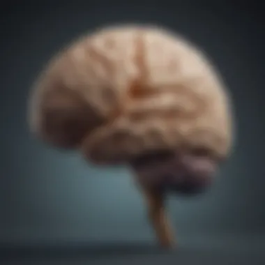 Right Brain Cognitive Skills Explained Visual representation of the right hemisphere's cognitive skills