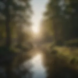 A serene landscape reflecting tranquility and self-discovery