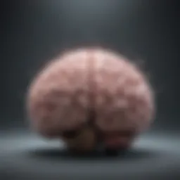 Conceptual representation of a brain in meditation, symbolizing clarity and focus.
