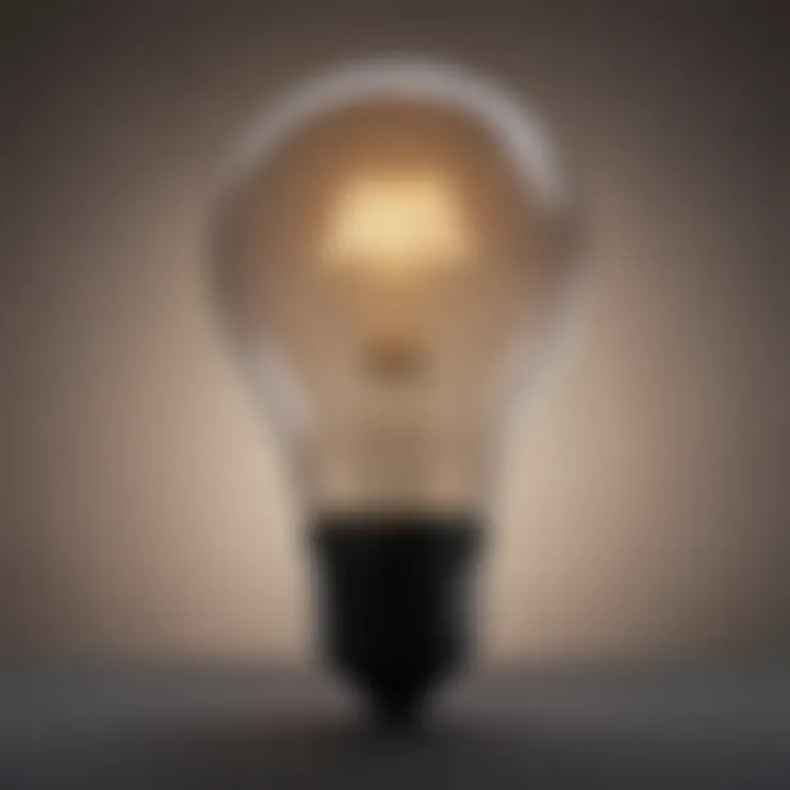 A light bulb representing new perspectives and ideas.