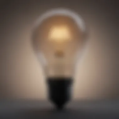 Light Bulb of New Perspectives A light bulb representing new perspectives and ideas.