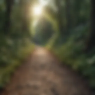 Pathway symbolizing the journey of personal development