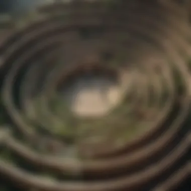 Maze representing the complexities of rebuilding trust