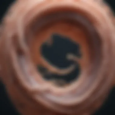 Lifecycle of Tapeworms Lifecycle of a tapeworm illustrating its stages
