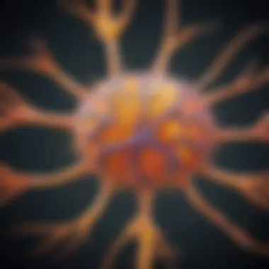 Visualization of serotonin pathways in the brain