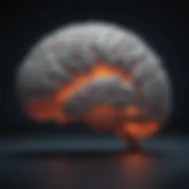 Brain Activity During Nighttime Anxiety Illustration of a brain highlighting areas affected by anxiety during nighttime.