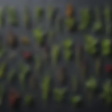 Close-up of various herbs used in parasite tinctures