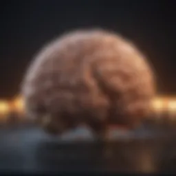 A brain with graphics depicting stress factors