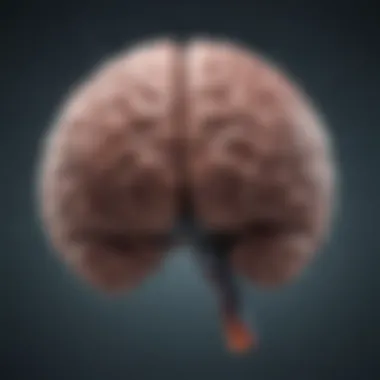 Brain Activity and Sadness Visual representation of brain activity related to sadness