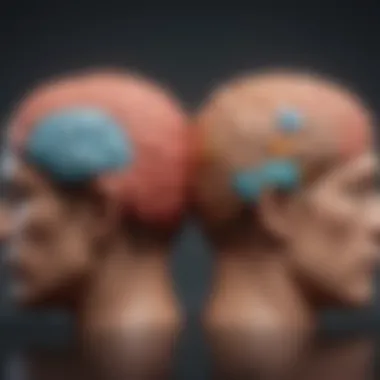 The Influence of Lateralization on Personality Creative representation of lateralization effects on personality and cognition.